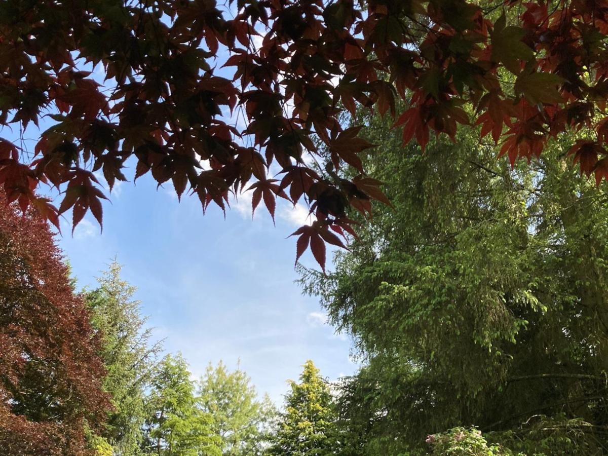 مبيت وإفطار Blairgowrie and Rattray Heathpark House المظهر الخارجي الصورة